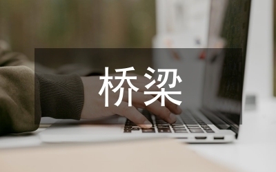 橋梁加固工程成本效益分析，橋梁加固工程成本效益分析與優(yōu)化策略研究 行業(yè)新聞 第3張