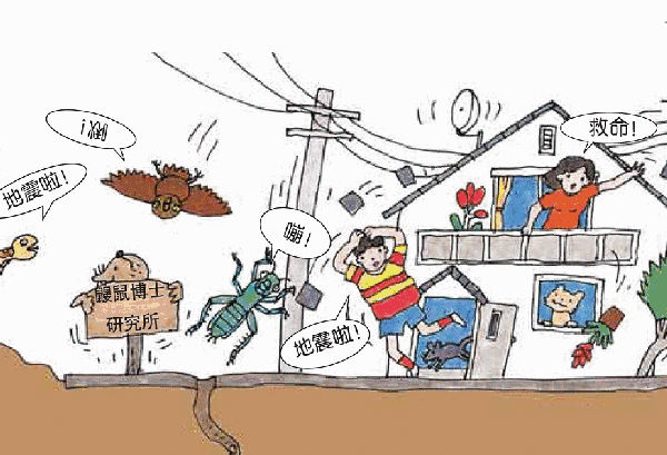 地震多發(fā)區(qū)農(nóng)居安全措施，地震多發(fā)區(qū)農(nóng)居安全措施，筑牢農(nóng)村抗震防護(hù)墻 行業(yè)新聞 第4張