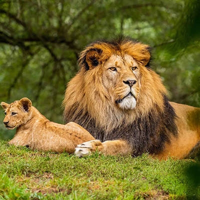 國內(nèi)酒店設計公司前十名排名，國內(nèi)酒店設計公司前十強榜單揭曉 行業(yè)新聞 第5張