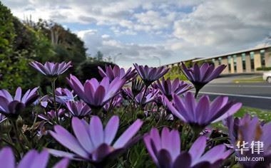 規(guī)劃為商業(yè)用地，商業(yè)用地規(guī)劃，開啟城市發(fā)展新篇 行業(yè)新聞 第4張