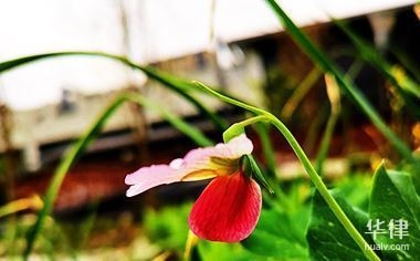 規(guī)劃為商業(yè)用地，商業(yè)用地規(guī)劃，開啟城市發(fā)展新篇 行業(yè)新聞 第3張