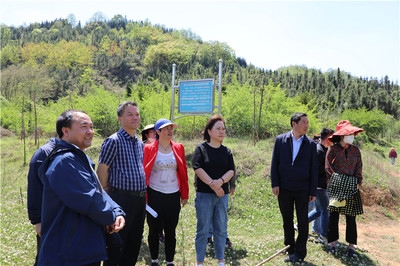 加固施工后期監(jiān)測技術(shù)應(yīng)用，加固施工后期監(jiān)測技術(shù)的應(yīng)用與實踐 行業(yè)新聞 第5張