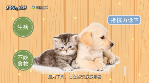 甲醛超標(biāo)如何自我檢測，掌握甲醛自我檢測技巧，確保居住 行業(yè)新聞 第6張