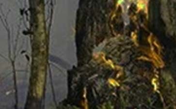 甲類廠房火災(zāi)應(yīng)急預(yù)案制定，類廠房火災(zāi)應(yīng)急預(yù)案制定 行業(yè)新聞 第2張