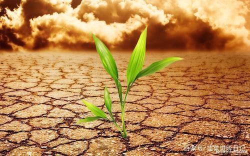 開發(fā)商財務(wù)報表在哪里查，商財務(wù)報表查詢 行業(yè)新聞 第6張