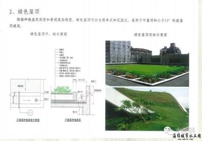 綠色施工技術(shù)的國際應(yīng)用案例，施工技術(shù)，國際應(yīng)用 行業(yè)新聞 第2張