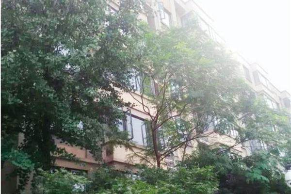 綠化設(shè)計(jì)對(duì)采光的影響，綠化設(shè)計(jì)對(duì)采光 行業(yè)新聞 第2張