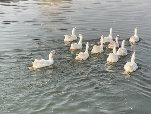 甲級(jí)設(shè)計(jì)院的市場競爭力優(yōu)勢，級(jí)設(shè)計(jì)院在建筑行業(yè)中的市場競爭力分析 行業(yè)新聞 第3張