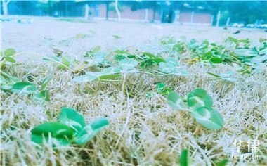 勞務(wù)分包企業(yè)注冊(cè)資金要求，分包企業(yè)注冊(cè)資金要求 行業(yè)新聞 第2張