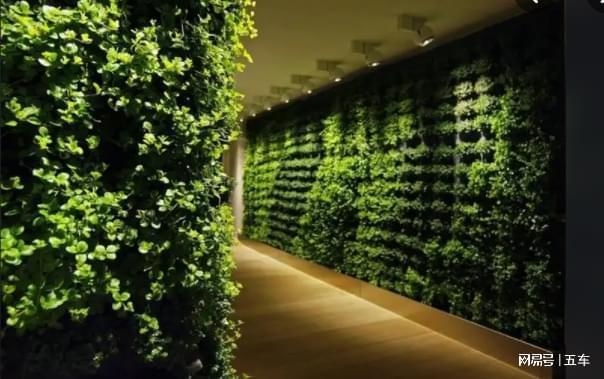 加固后墻體植物影響評(píng)估，加固后墻體植物影響評(píng)估，生態(tài)與 行業(yè)新聞 第3張