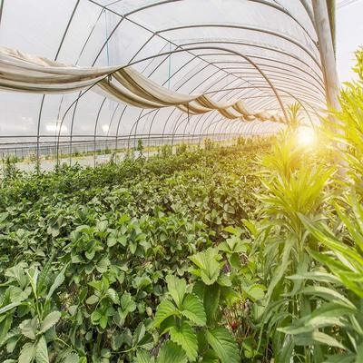 建筑病蟲害監(jiān)測技術(shù)應(yīng)用，病蟲害監(jiān)測技術(shù)的應(yīng)用與 行業(yè)新聞 第3張