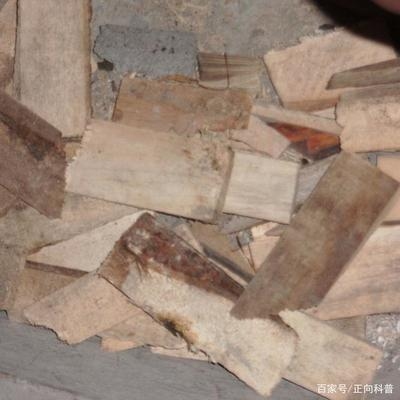 墻體加固材料成本對比，幾種不同風(fēng)格的標(biāo)題供你參考，你可以根據(jù)具體需求進(jìn)行選擇，，深度剖析，墻體加固材料成本大比拼，聚焦墻體加固，各類材料成本全對比，墻體加固之選 行業(yè)新聞 第4張